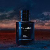 خرید عطر ادکلن دیور ساواج الکسیر اصل 60 میل