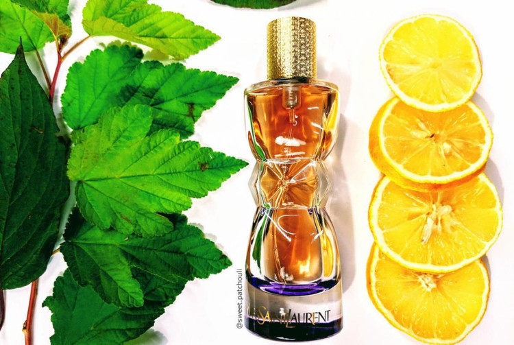 عطر ادکلن ایو سن لورن منیفستو اکلت ۱۰۰میل مناسب برای بانوانبا طبع گرم و شیرین
