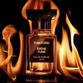 عطر ادکلن تام فورد ابنه فیوم ۵۰میل مناسب برای آقایان و بانوان با طبع گرم
